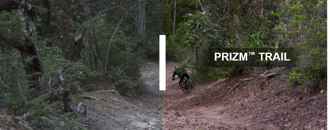 Oakley Prizm Trail: lenses for mountain biking and trail, forest reliefs and roots more visible in undergrowth